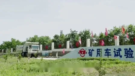 Guarda anche qui Acquista il produttore originale Sinotruk Howo Pengxiang Shacman Dongfeng FAW Weichai Motore Cambio Mt86 Parte del camion minerario